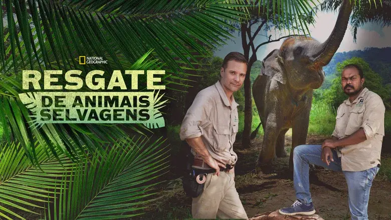 Jungle Animal Rescue still 6