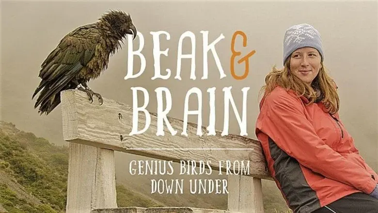Beak & Brain - Genius Birds from Down Under still 2