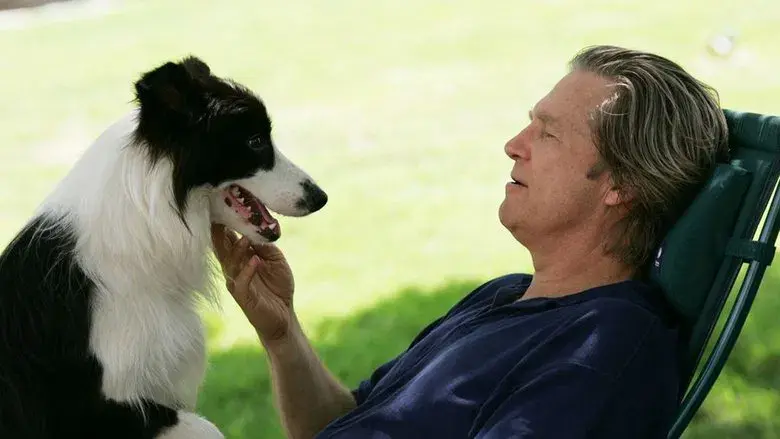 A Dog Year still 1