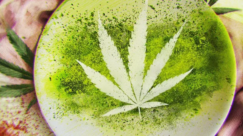 Cooked With Cannabis still 1