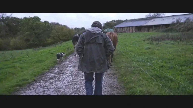 Violence dans les Champs still 2