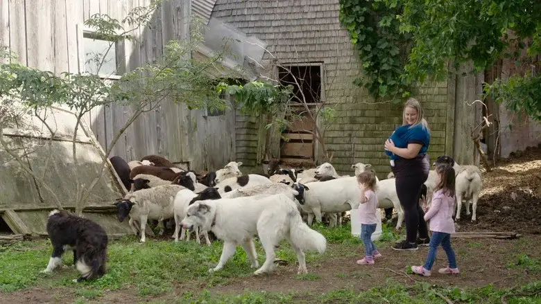 La famille est dans le pré still 1