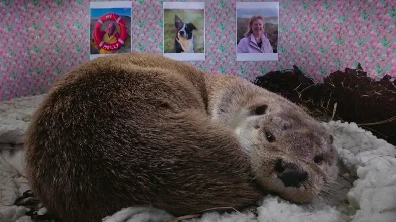 Billy & Molly: An Otter Love Story still 2