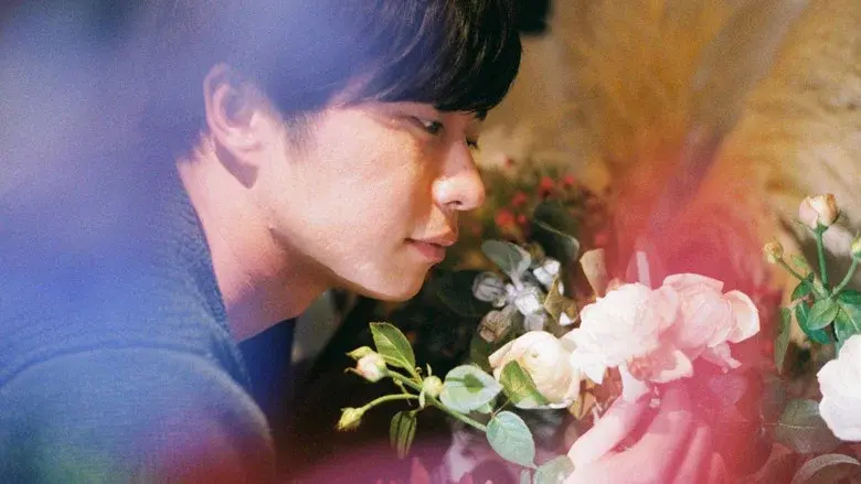 Mellow still 5