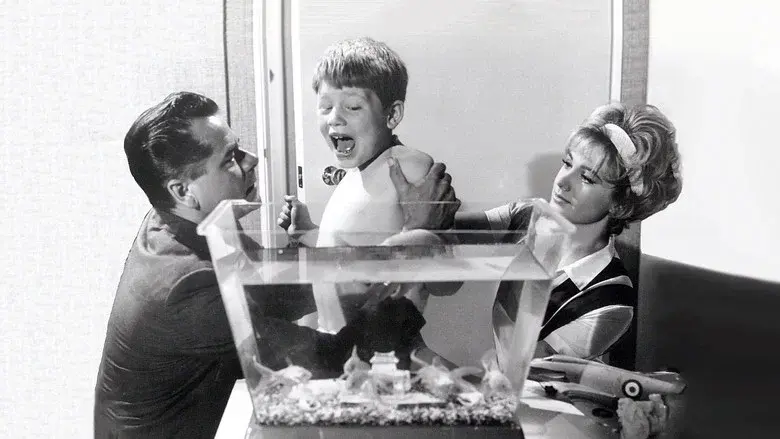 The Courtship of Eddie's Father still 7