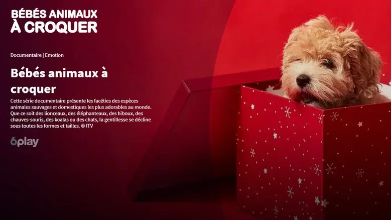 Bébés animaux à croquer still 2
