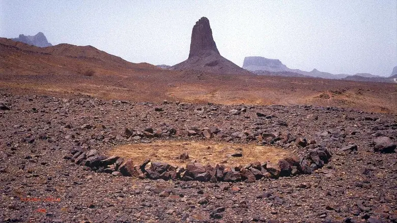 Stones and Flies: Richard Long in the Sahara still 4