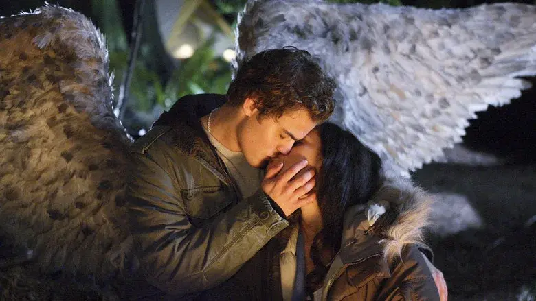 Fallen still 1