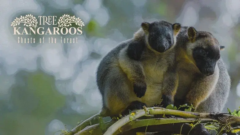Tree Kangaroos: Ghosts of the Forest still 1