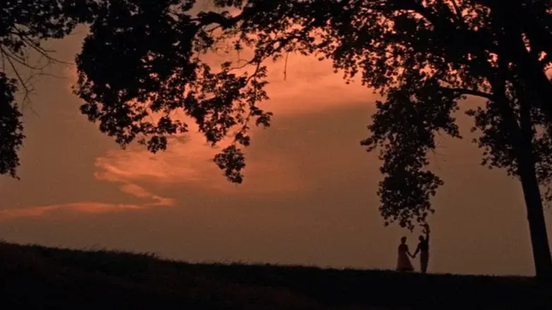 Picnic still 8