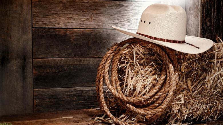 Women of Country Music: Glamour Girls still 1