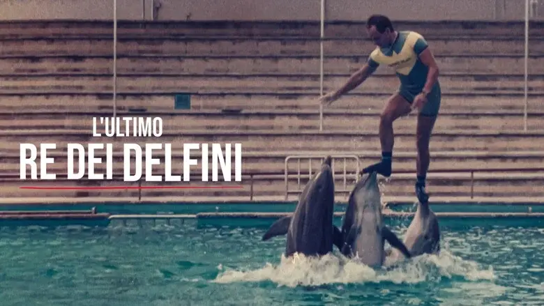 The Last Dolphin King still 4