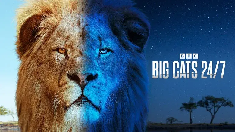 Big Cats 24/7 still 3