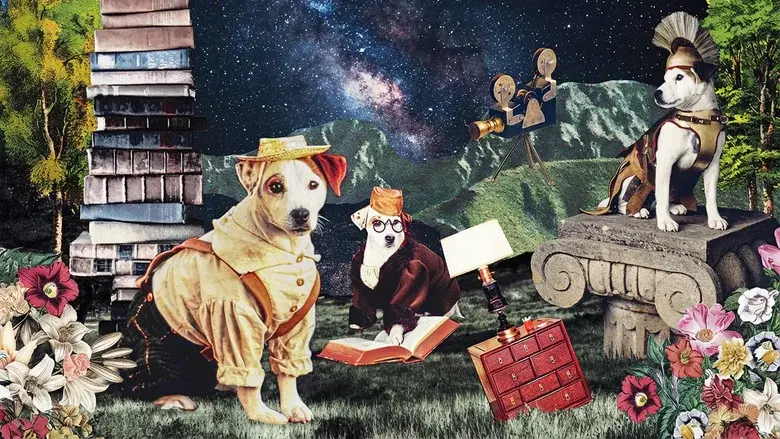 Wishbone still 1