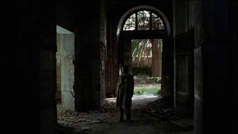 The Fifth Cord still 5