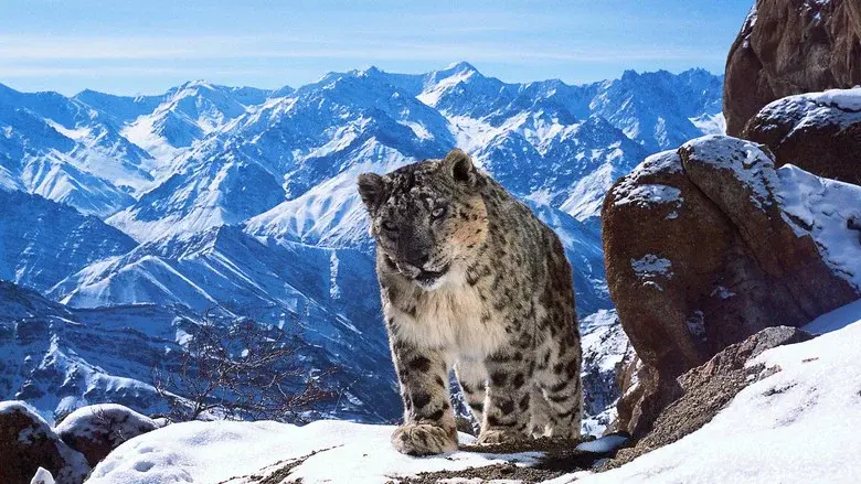 Planet Earth II still 3