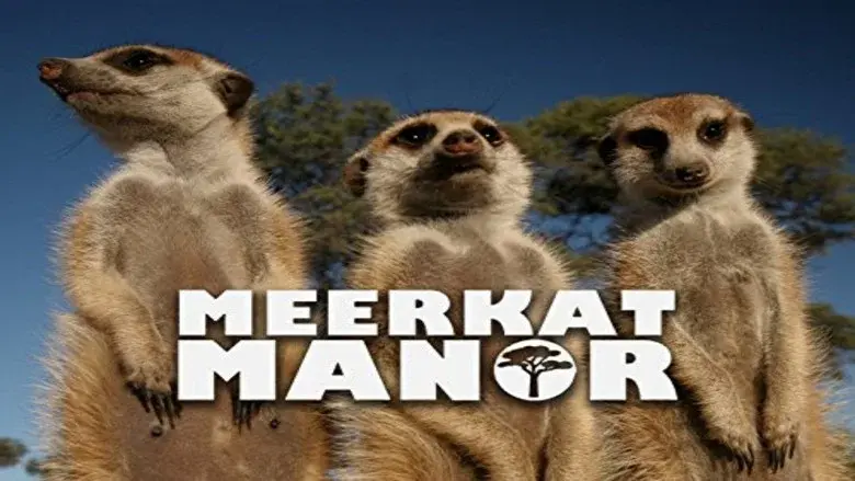 Meerkat Manor still 1