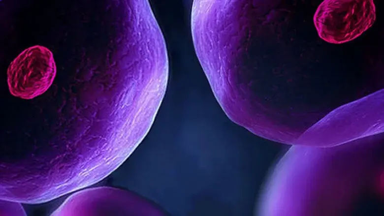 The Cell still 1