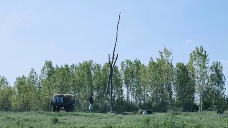 Hukkle still 3