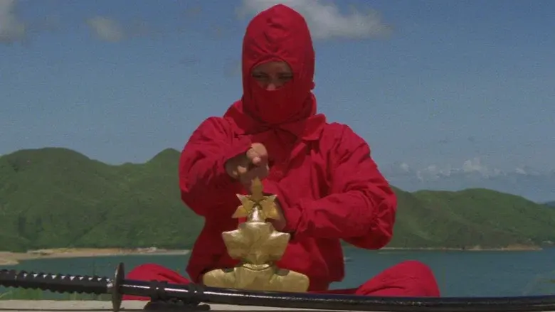 Ninja Terminator still 8
