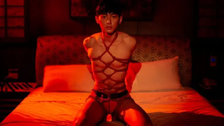 Light still 4