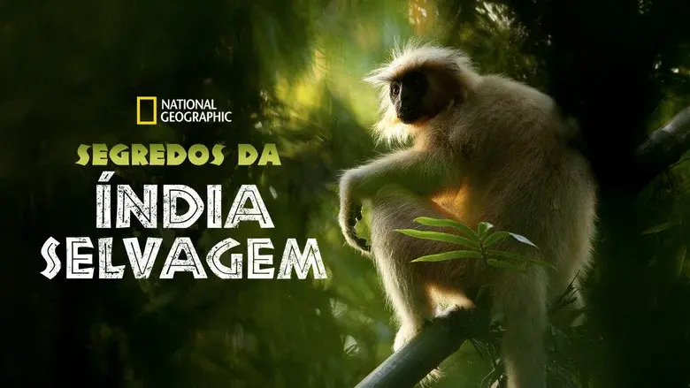 Secrets of Wild India still 7