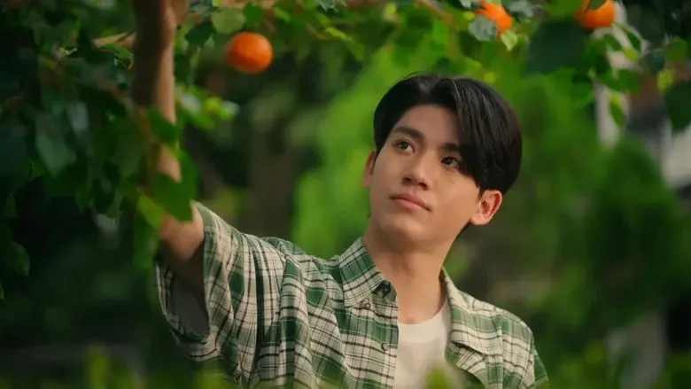 When Oranges Fall still 6