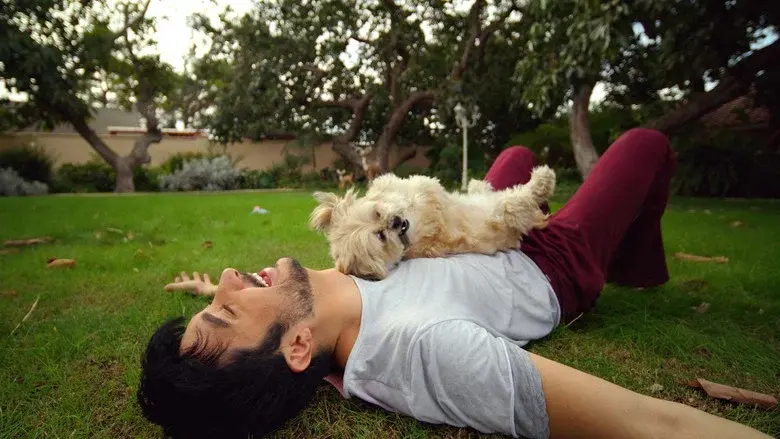 Doggy Bank still 1