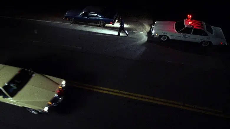 The Thin Blue Line still 2