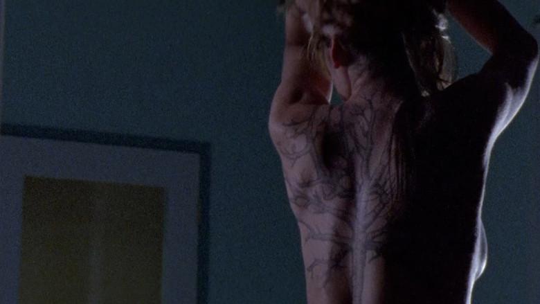 Sublime still 1