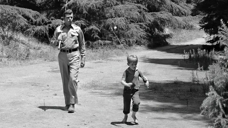 The Andy Griffith Show still 2