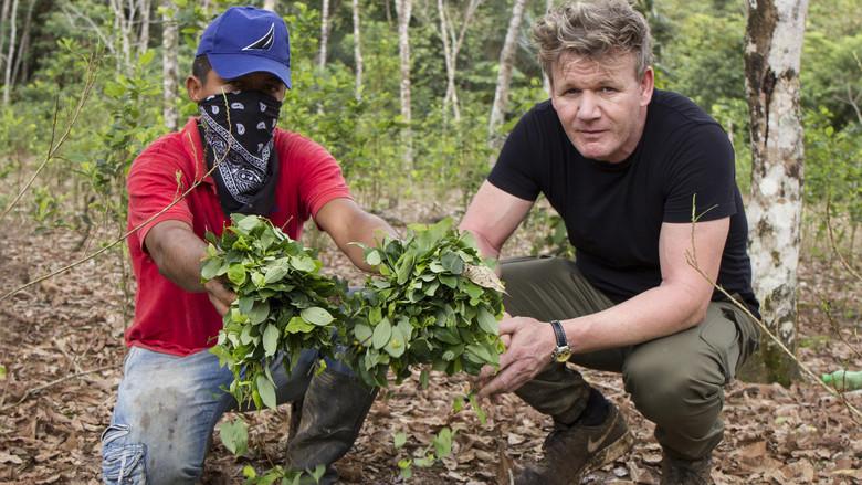 Gordon Ramsay on Cocaine still 2