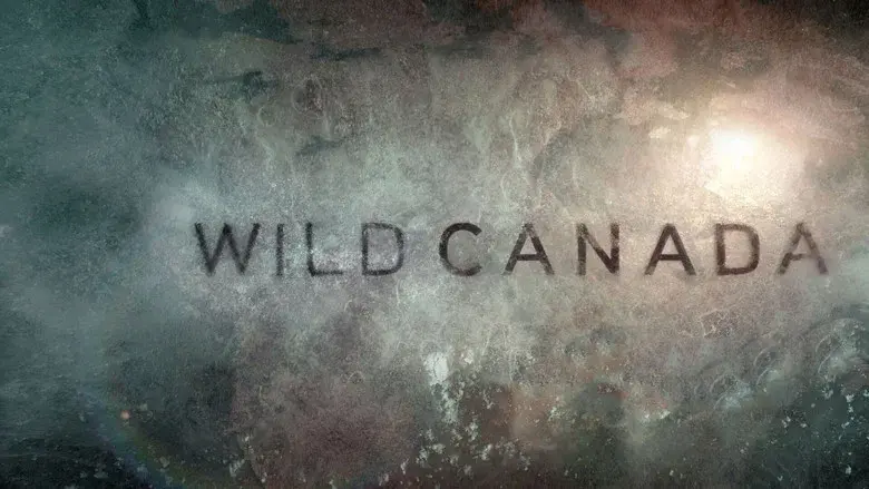 Wild Canada still 3