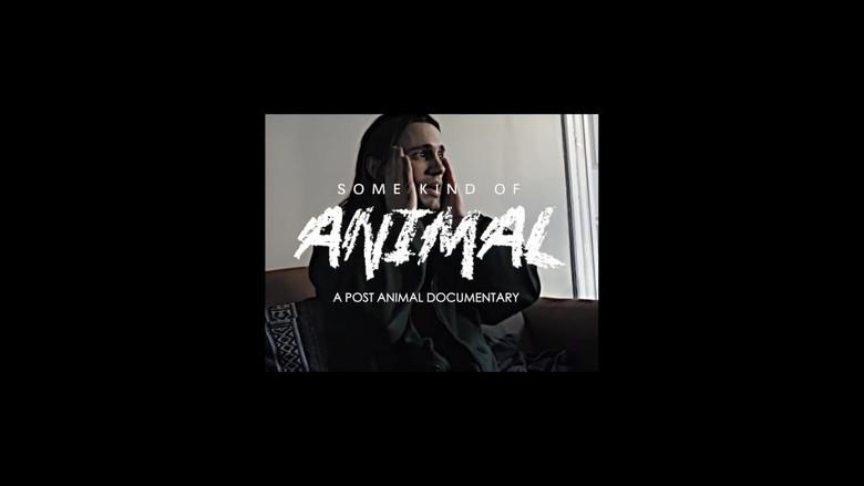 SOME KIND OF ANIMAL: A Post Animal Documentary still 2