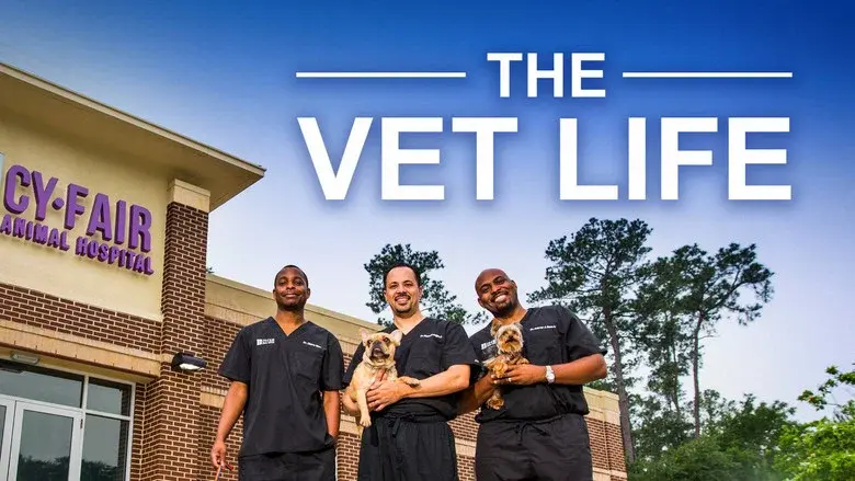 The Vet Life still 5