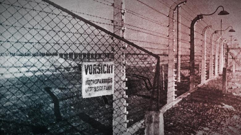 The Abyss – Rise and Fall of the Nazis still 7