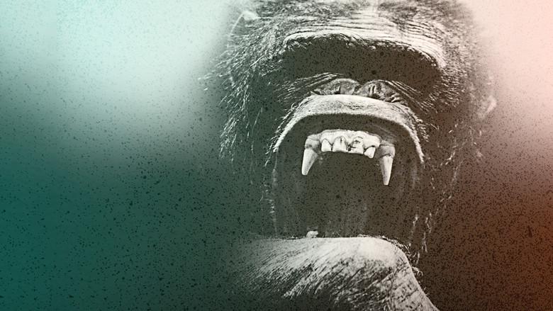 Rise of the Warrior Apes still 4