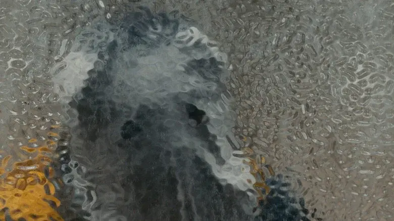 Cloud still 8