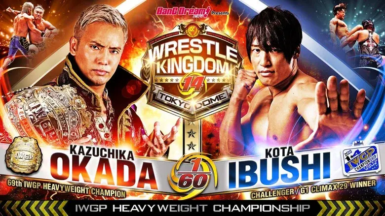 NJPW Wrestle Kingdom 14: Night 1 still 3