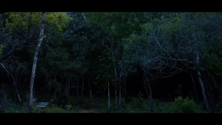 A Mata Não Esquece still 1