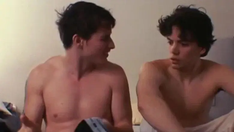 Sugar still 3
