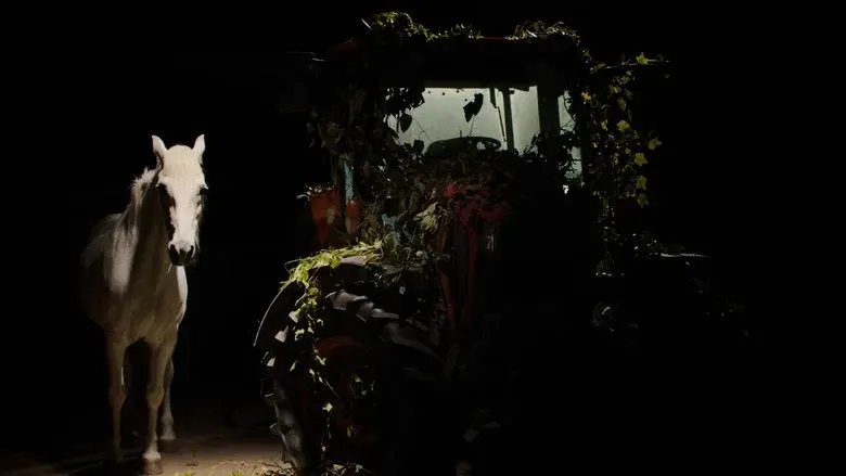 Un perro ladra detrás del depósito still 1