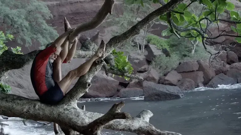 The Art of Life still 4