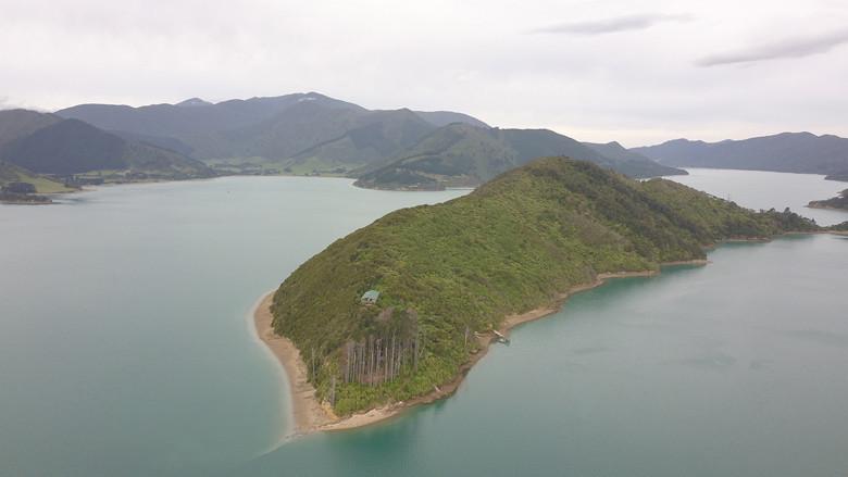 Kiwiland still 1