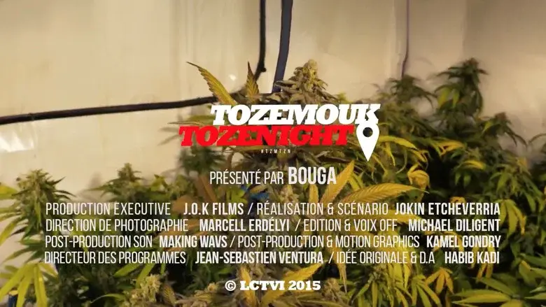 Tozemouk Tozenight still 2