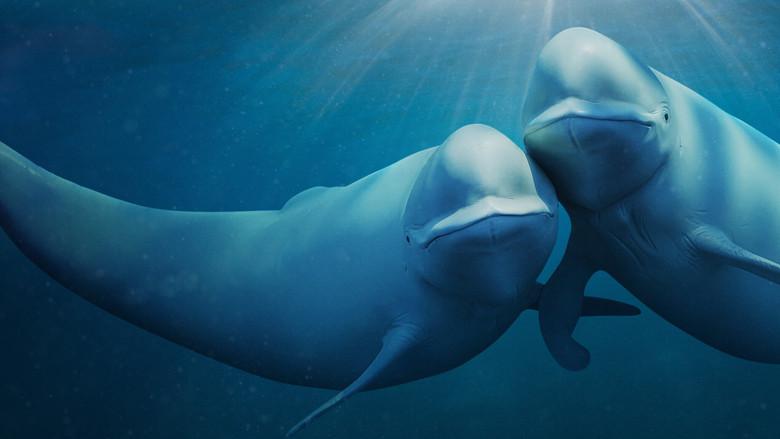 Our Oceans still 2
