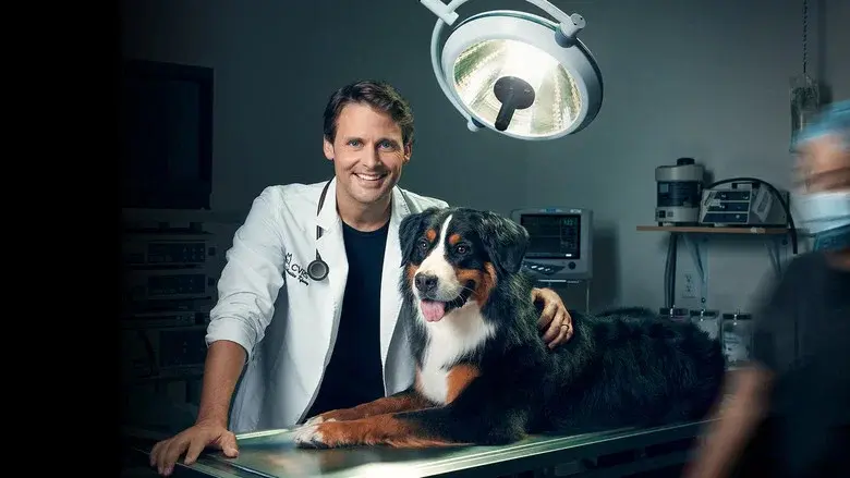 Dr Sébastien, vétérinaire still 1