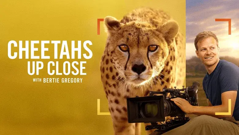 Cheetahs Up Close with Bertie Gregory still 1