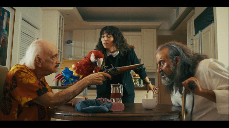 The Old Man and the Parrot still 1
