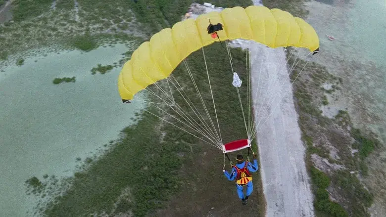 Drop Zone still 3